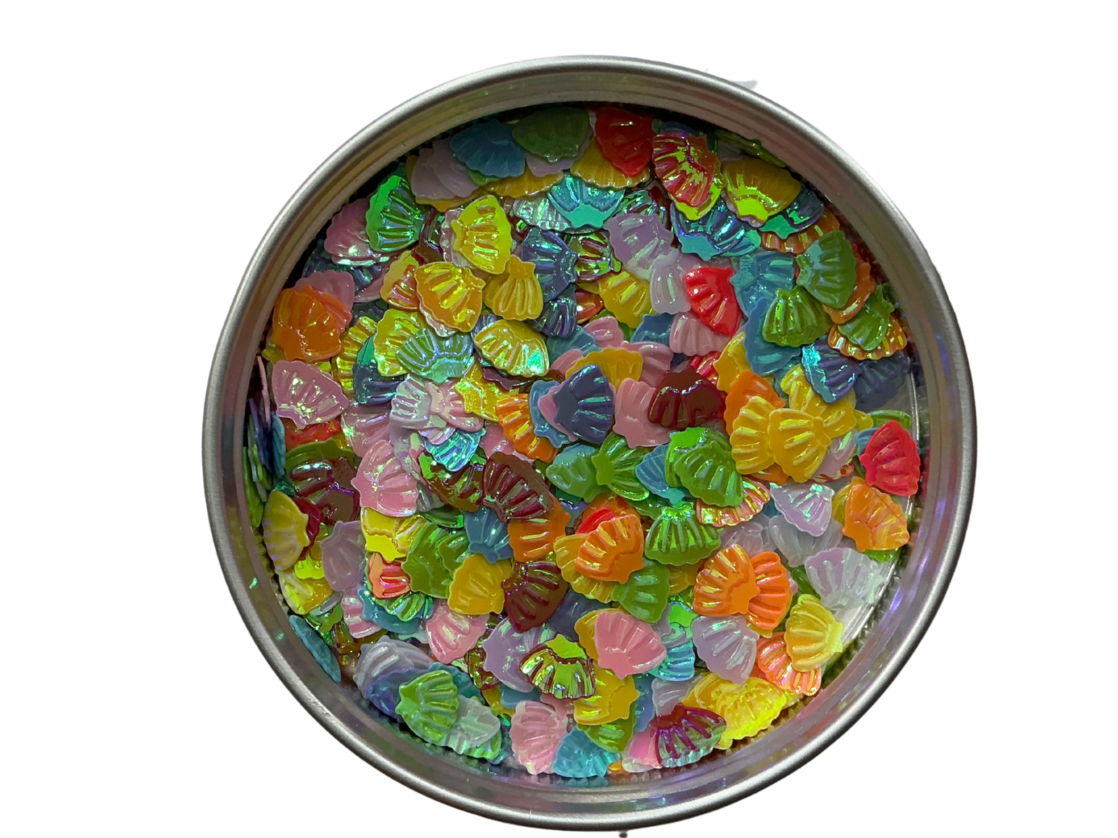 Arcilla Polimérica Conchas de Colores
