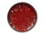 Arcilla Polimérica Fideos Rojos