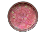 Lentejuela Tornasolada Logo CC Rosa