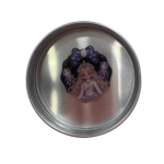Hada Morada: Círculo Grande